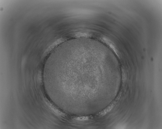 X0000062930353200601181315