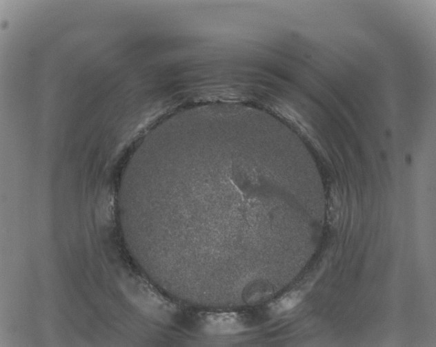 X0000062930355200601181315