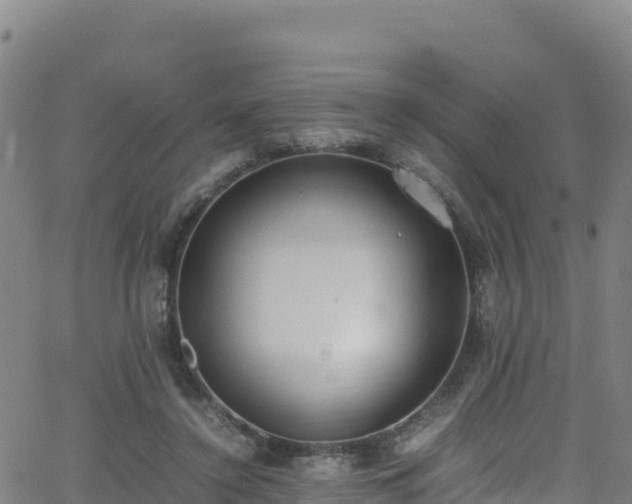 X0000062930356200601181315