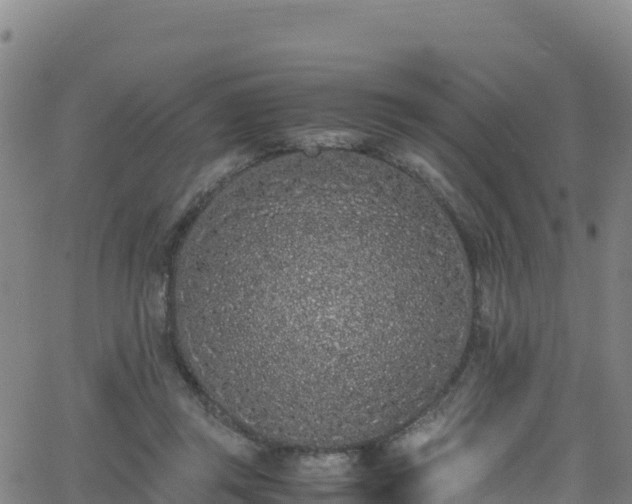 X0000062930357200601181315