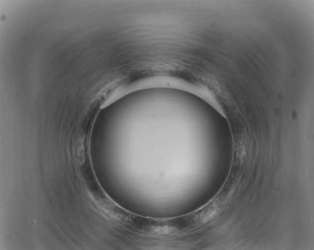 X0000062930360200601181315