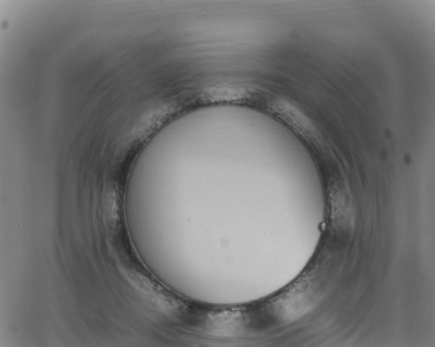 X0000062930362200601181315