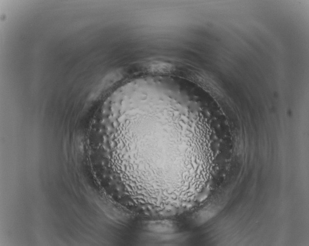 X0000062930363200601181315