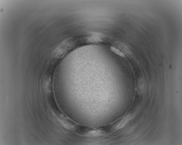 X0000062930364200601181315