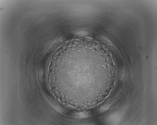 X0000062930365200601181315