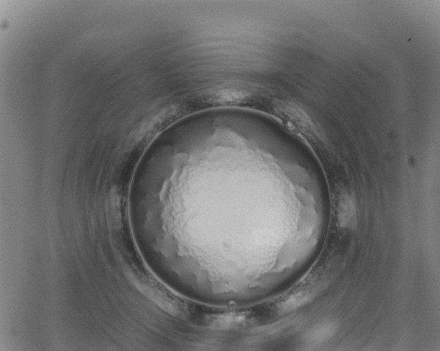 X0000062930366200601181315