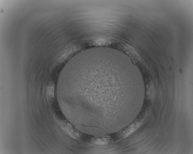 X0000062930368200601181315