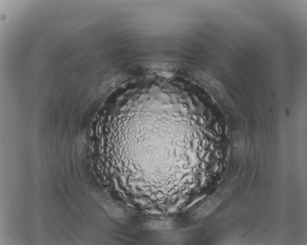 X0000062930369200601181315