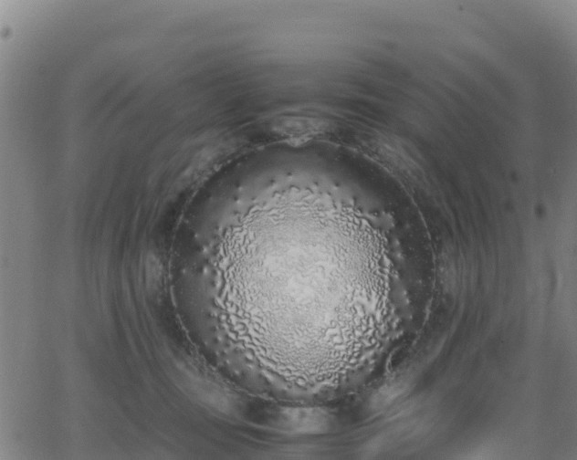 X0000062930371200601181315