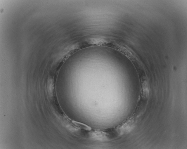 X0000062930372200601181315