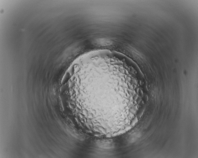 X0000062930373200601181315