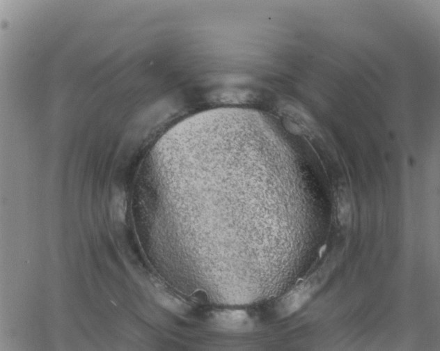 X0000062930374200601181316