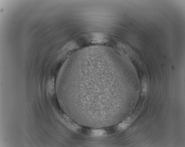 X0000062930376200601181316