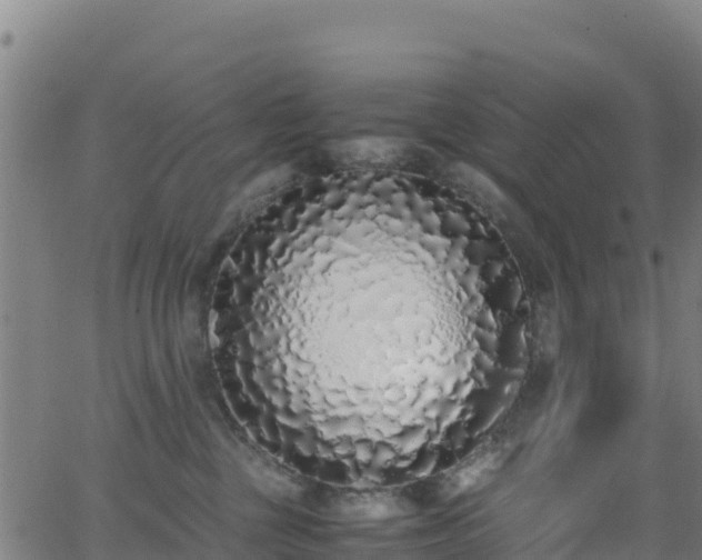 X0000062930377200601181316