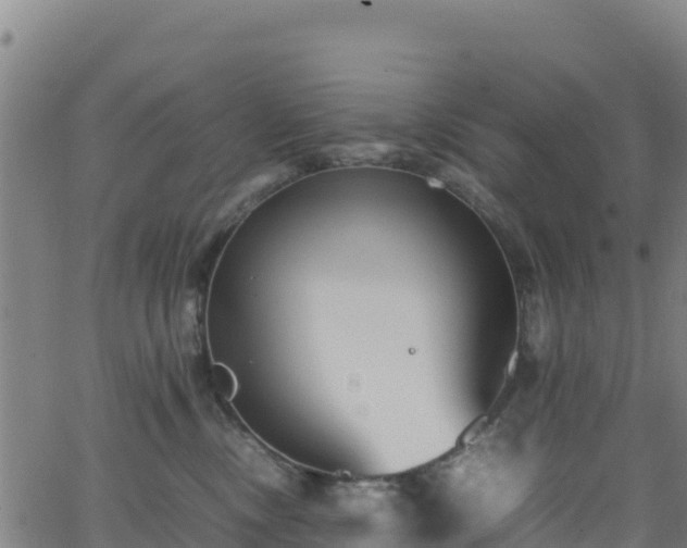 X0000062930378200601181316