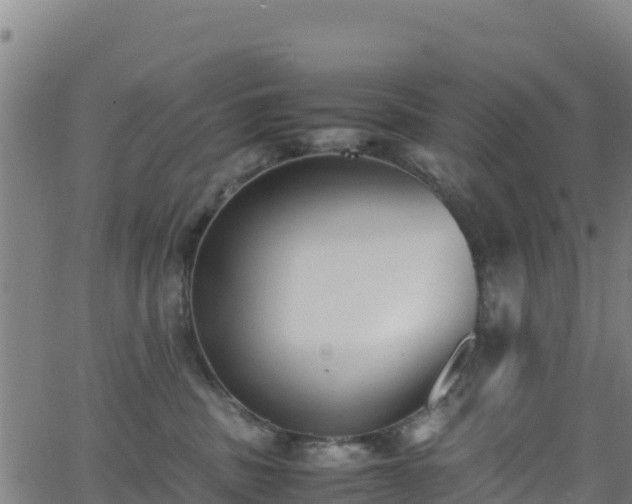 X0000062930379200601181316