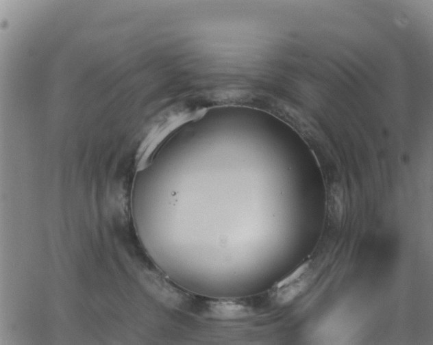 X0000062930380200601181316