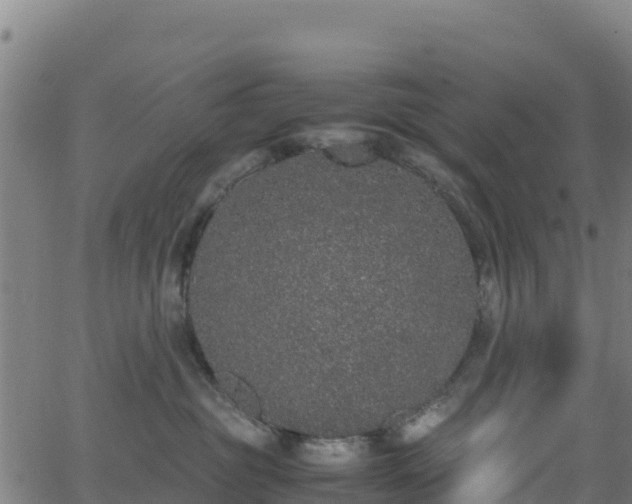 X0000062930381200601181316