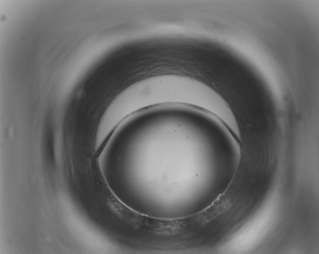 X0000062930382200601181316