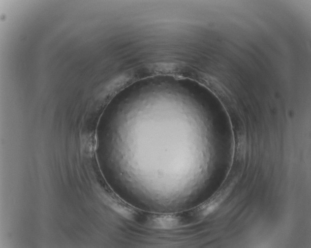 X0000062930383200601181316