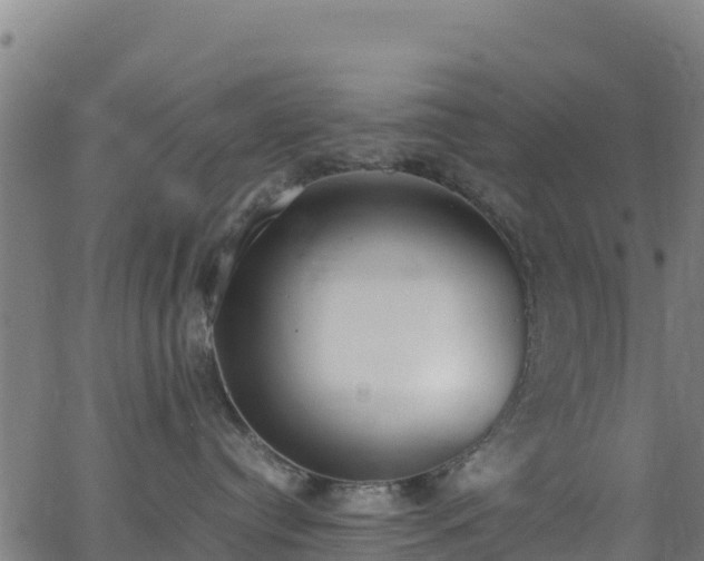 X0000062930384200601181316