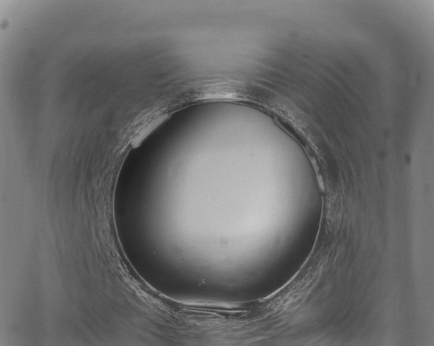 X0000062930385200601181315