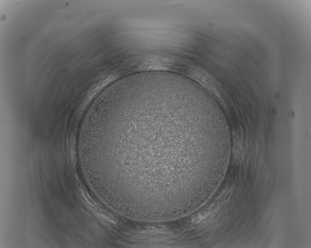 X0000062930386200601181315