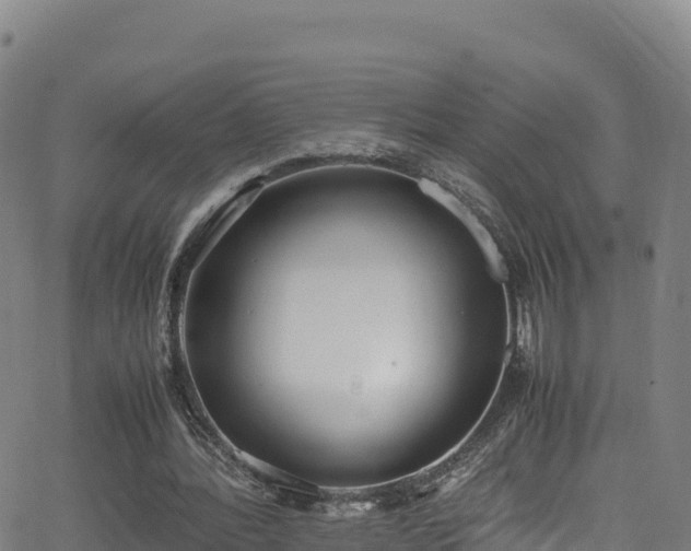 X0000062930388200601181315