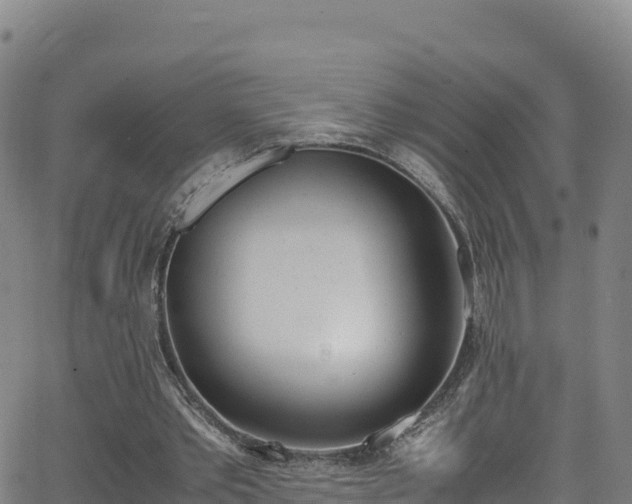 X0000062930389200601181315