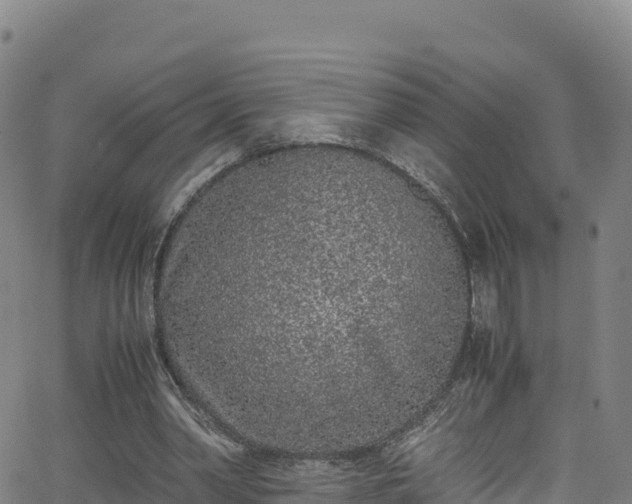 X0000062930390200601181315