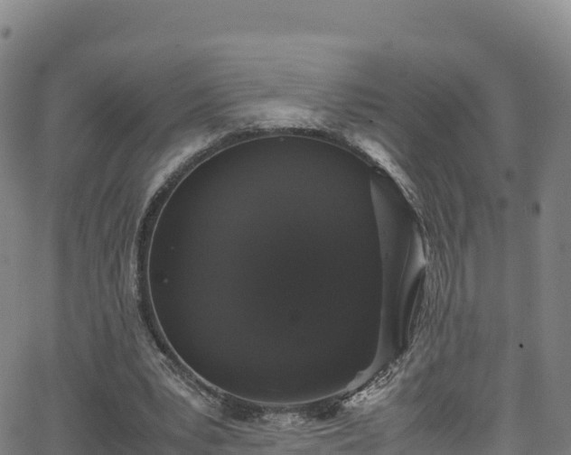 X0000062930391200601181315