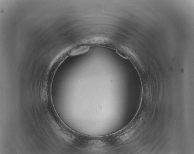 X0000062930392200601181315