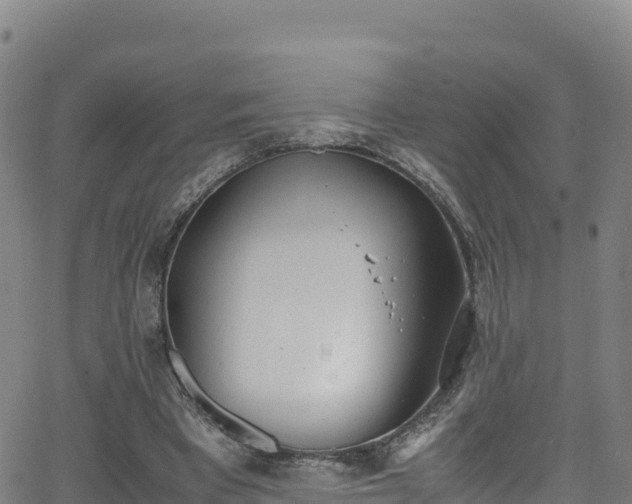 X0000062930393200601181315