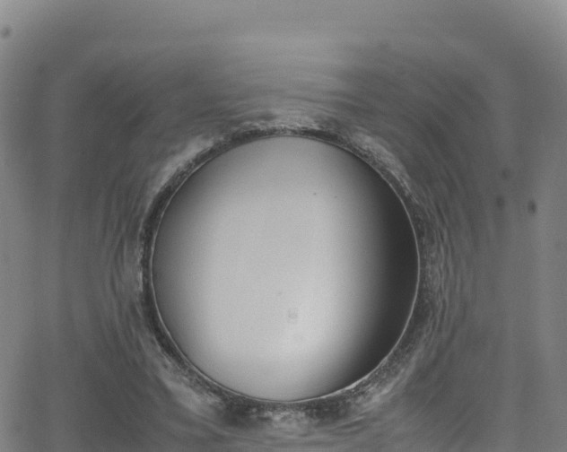 X0000062930395200601181315