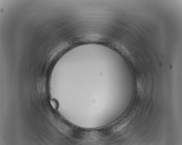 X0000062930396200601181315