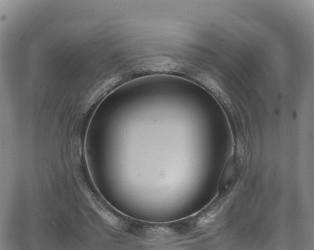 X0000062930397200601181315