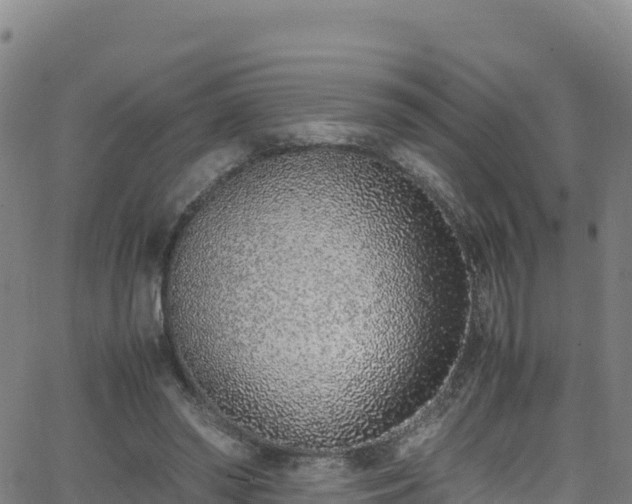 X0000062930398200601181315