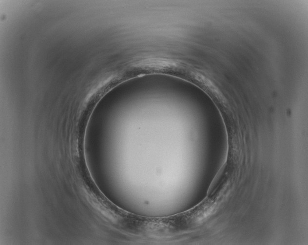 X0000062930399200601181315