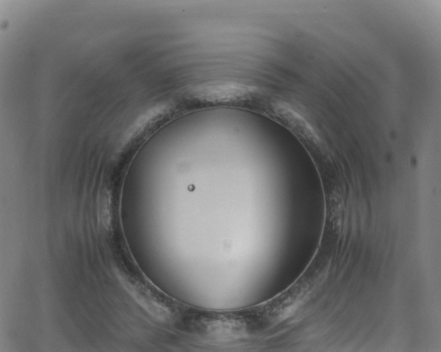 X0000062930400200601181315