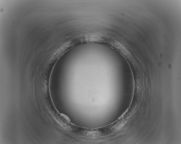 X0000062930401200601181315