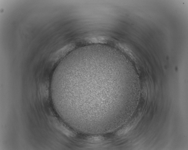 X0000062930402200601181315