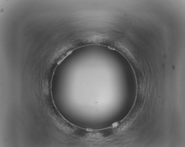 X0000062930403200601181315