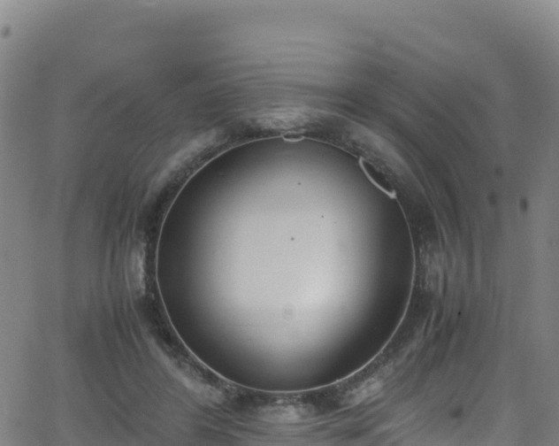 X0000062930404200601181315