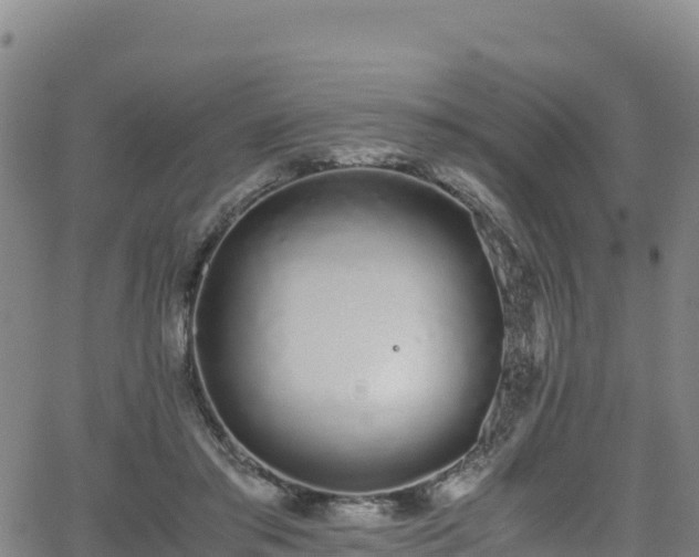 X0000062930405200601181315