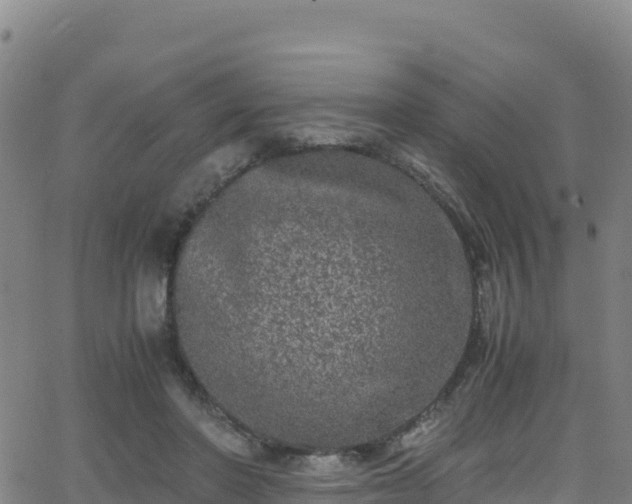 X0000062930406200601181315