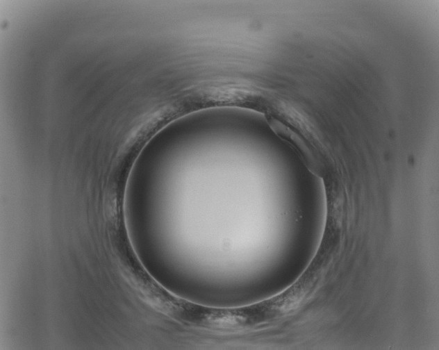 X0000062930407200601181315