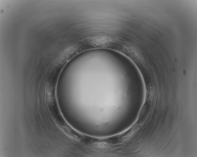 X0000062930408200601181315