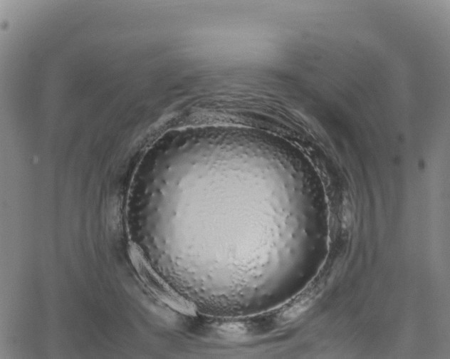 X0000062930409200601181315