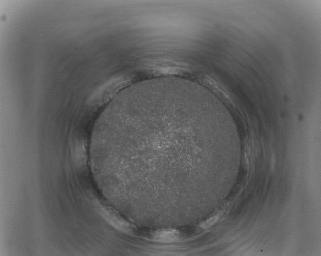 X0000062930410200601181314