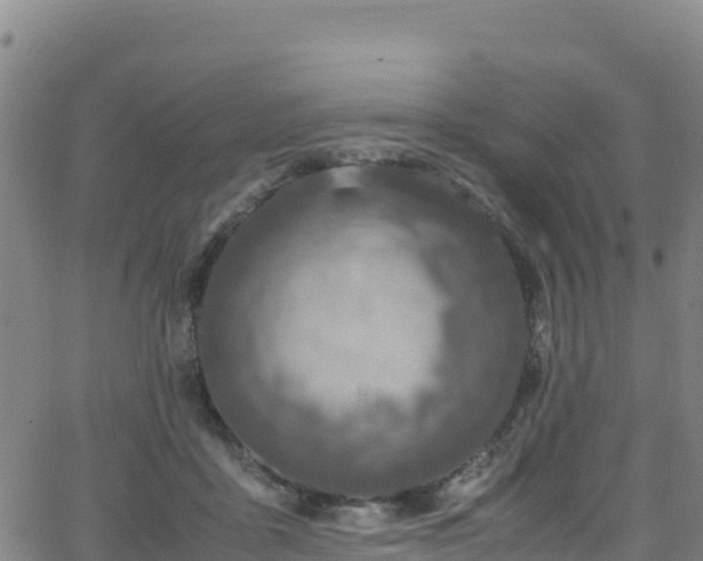 X0000062930411200601181314